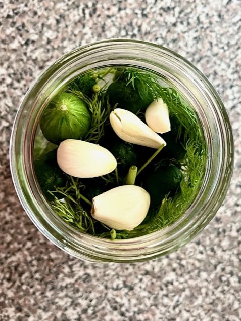 Easy Lacto-Fermented Garlic & Dill Pickles