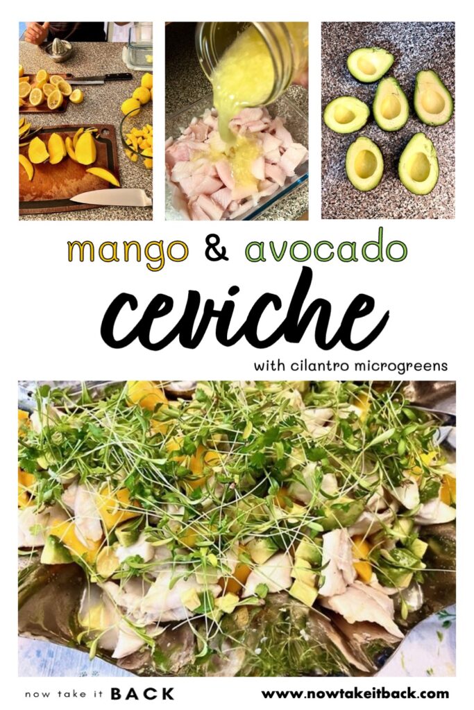 mango avocado citrus ceviche lemon juice acid cooked fish sole mahi mahi white halibut grouper bass fluke flounder rockfish tropical Cinco de Mayo Mexican Peruvian summer cilantro microgreens health real food recipe salt seafood make-ahead traditional party